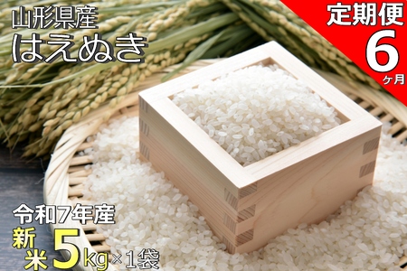 [定期便6ヶ月][令和7年産新米]山形県産「はえぬき」5kg×1袋×6ヶ月_A191(R7)