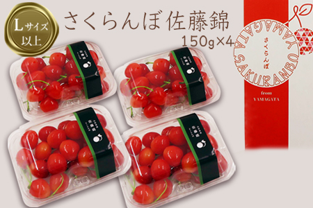 【2025年6月発送】「秀品」さくらんぼ佐藤錦約600g（L以上・150g×4パック詰）_H109(R7)