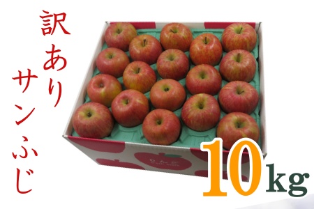 [2024年11月〜12月発送]訳ありリンゴ(サンふじ)10kg(1箱2段詰)_H128(R6)
