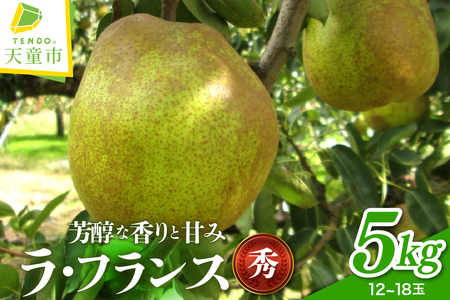 ラ・フランス 5kg フルーツ 果物 洋梨 山形 08-40-001
