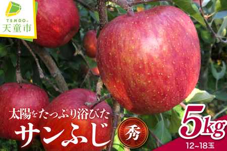 りんご （ サンふじ ）  5kg 山形 果物 フルーツ 08-40-002