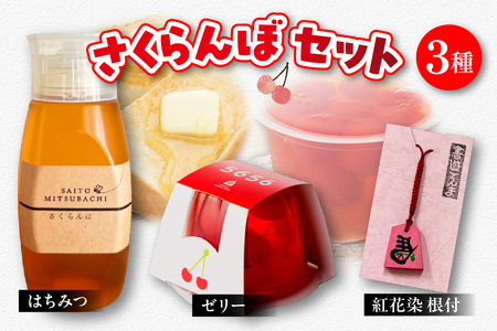 さくらんぼセット ゼリー はちみつ 根付 詰合せ 08-32-005