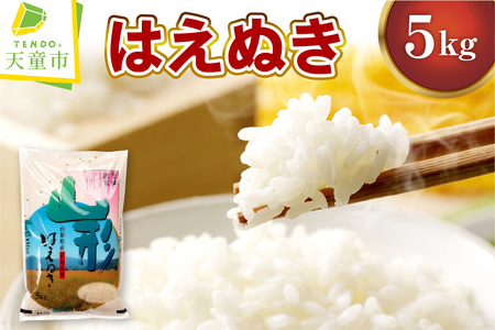 はえぬき 5kg [ 令和7年産 ] 山形 米 精米 07-30-055