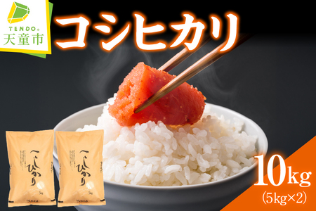 コシヒカリ 10kg [ 令和7年産 ] 米 精米 山形 07-30-048