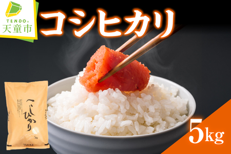 コシヒカリ 5kg [ 令和7年産 ] 米 精米 山形 07-30-045