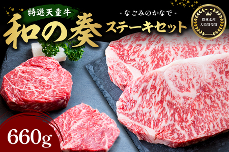 �_�ѐ��Y��b�܎�� ���I �V����  �a�̑t  �X�e�[�L �Z�b�g �R�`�� �a�� ���� 07-27-023