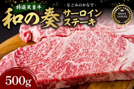 農林水産大臣賞受賞 特選 天童牛 " 和の奏 " サーロインステーキ 500g 山形牛 和牛 牛肉 07-27-020