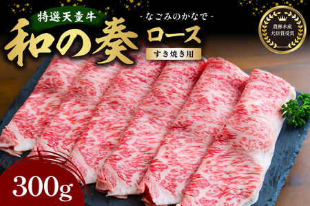 _ѐYb܎ I V  ȃt  [X ( Ăp ) 300g R` a  07-27-016