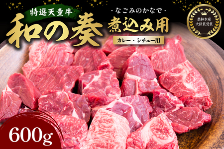 農林水産大臣賞受賞 特選 天童牛 " 和の奏 " 煮込み用 600g 山形牛 和牛 牛肉 07-27-008