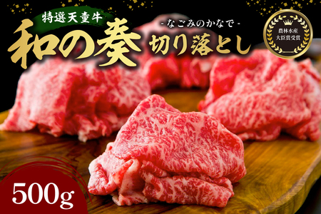 農林水産大臣賞受賞 特選 天童牛 " 和の奏 " 切り落とし 500g 山形牛 和牛 牛肉 07-27-003