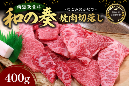 農林水産大臣賞受賞 特選 天童牛 " 和の奏 " 焼肉 切落し 400g 山形牛 和牛 牛肉 07-27-002