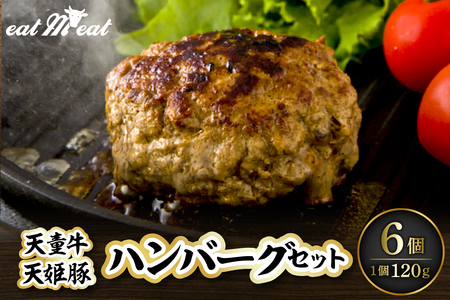 イートミート オリジナル ハンバーグ セット 120g × 6個 惣菜 山形牛 天姫豚 生ハンバーグ 07-27-010