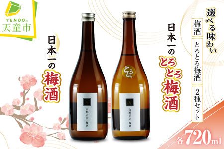 日本一の梅酒 セット 720ml 2本 水戸部酒造 山形 地酒 07-18-006
