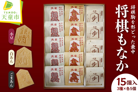 Ȃ ( R 15 ) Œ   ܂ R` Vs 07-16-002