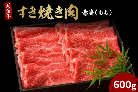 V Ԑg Ă (  ) 600g uh R`  07-12-005