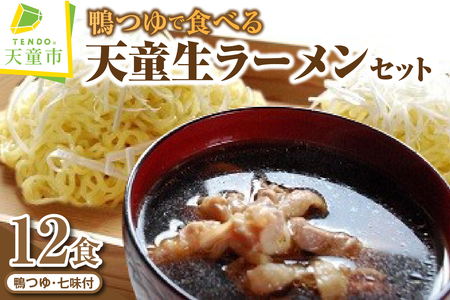 鴨つゆ で食べる 天童 生ラーメン セット ( 12人前 ) 山形 ラーメン 07-02-033