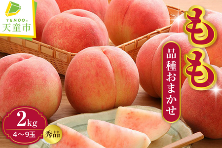  ( i킨܂  ) 2kg t[c ʕ R` 08-01-012