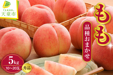  ( i킨܂  ) 5kg t[c ʕ R` 08-01-032