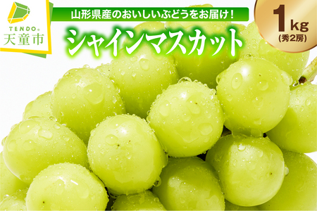 ぶどう ( シャインマスカット ) 2房 秀 フルーツ 果物 山形 08-01-016