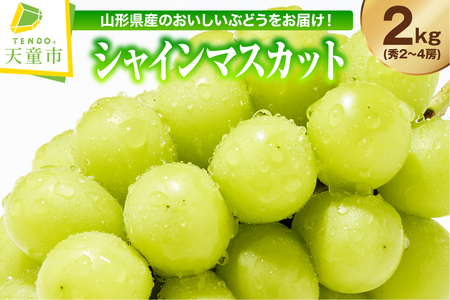 �Ԃǂ� ( �V���C���}�X�J�b�g ) 2kg 2�`4�[ �G �t���[�c �ʕ� �R�` 08-01-033