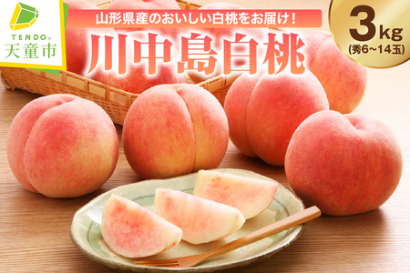  ( 쒆 ) 3kg t[c ʕ R` 08-01-025