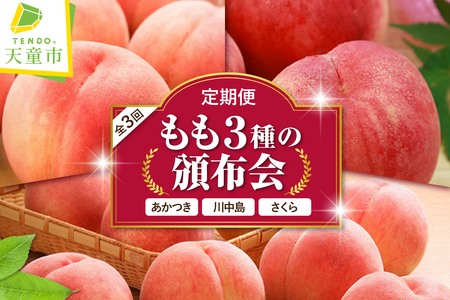 もも 3種 の 頒布会 ( 定期便 ) 全3回 フルーツ 果物 山形 08-01-034