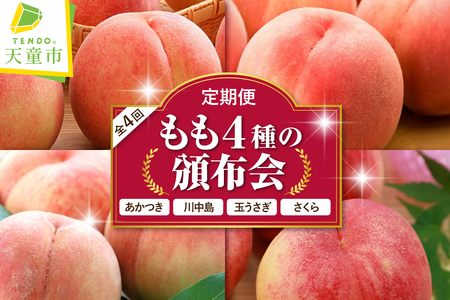 もも 4種 の 頒布会 ( 定期便 ) 全4回 フルーツ 果物 山形 08-01-036