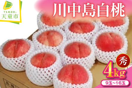  ( 쒆  )  4kg t[c ʕ R` 08-02-003