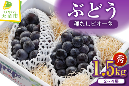 ぶどう ( 種なし ピオーネ ) 1.5kg フルーツ 果物 山形 08-02-013