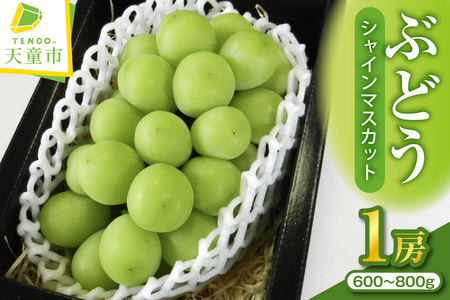 �Ԃǂ� ( �V���C���}�X�J�b�g ) 1�[ �t���[�c �ʕ� �R�` 08-02-014