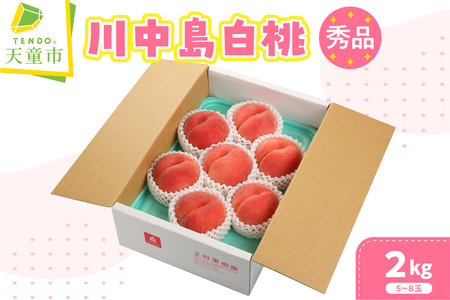  ( 쒆  ) 2kg t[c ʕ R` 08-03-003