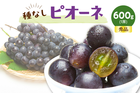 ぶどう ( 種なし ピオーネ ) 600g フルーツ 果物 山形 08-06-004
