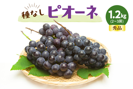 �Ԃǂ� ( ��Ȃ� �s�I�[�l ) �� 1.2kg �t���[�c �ʕ� �R�` 08-06-015