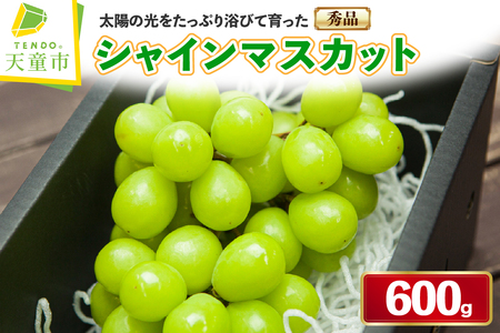 �Ԃǂ� ( �V���C���}�X�J�b�g ) 1�[ �t���[�c �ʕ� �R�` 08-06-005