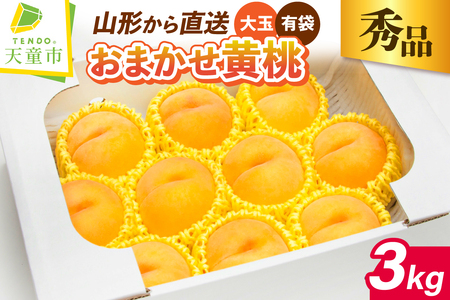  (   )  3kg t[c ʕ R` 08-06-012