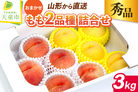  ( 2i l Zbg )  3kg t[c ʕ R` 08-06-017