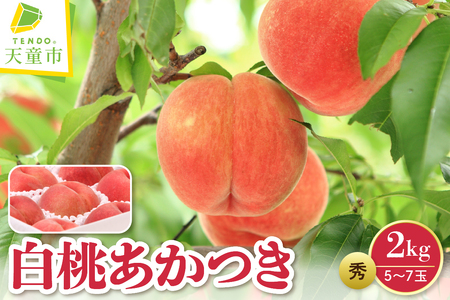  (  ) 2kg t[c ʕ R` 08-08-001