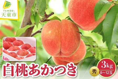  (  ) 3kg t[c ʕ R` 08-08-012