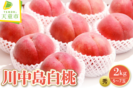  ( 쒆  ) 2kg t[c ʕ R` 08-08-005