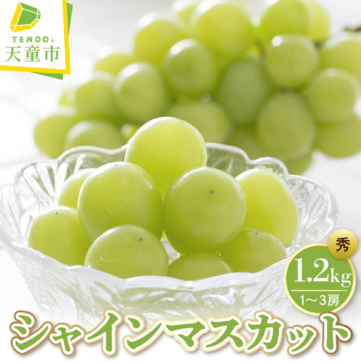 ぶどう ( シャインマスカット ) 1.2kg フルーツ 果物 山形