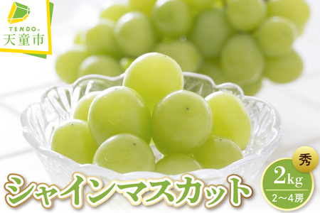 �Ԃǂ� ( �V���C���}�X�J�b�g ) 2kg �t���[�c �ʕ� �R�` 08-08-019