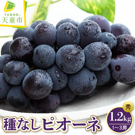 ぶどう 種なし ピオーネ 1.2kg フルーツ 果物 山形 ブドウ