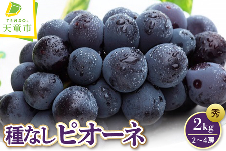 �Ԃǂ� ( ��Ȃ� �s�I�[�l ) 2kg �t���[�c �ʕ� �R�` 08-08-020