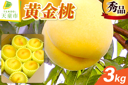  (  ) 3kg t[c ʕ R` 08-10-017