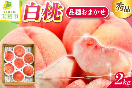 白桃 ( 品種 おまかせ ) 2kg フルーツ 果物 山形 08-10-008