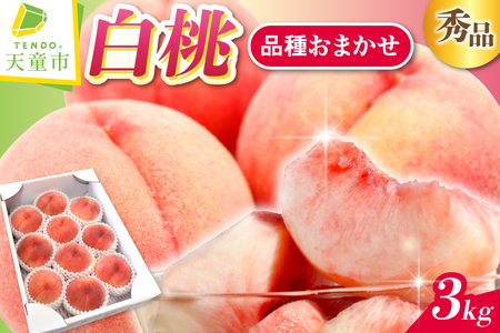 ���� ( �i�� ���܂��� ) 3kg �t���[�c �ʕ� �R�` 08-10-023