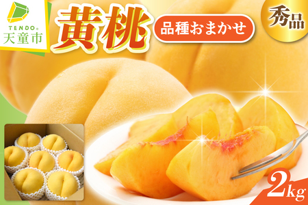 黄桃 ( 品種 おまかせ ) 2kg フルーツ 果物 山形 08-10-009