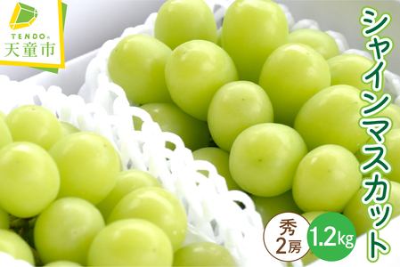 Ԃǂ ( VC}XJbg ) 2[ 1.2kg t[c ʕ R` 08-10-024