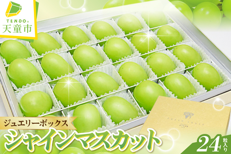 Ԃǂ ( VC}XJbg ) WG[{bNX 24  t[c ʕ R` 08-10-011