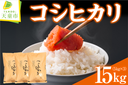 コシヒカリ 15kg [ 令和7年産 ] 米 精米 山形 07-30-056